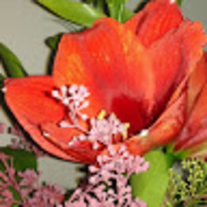 Meet your Posher, Lia